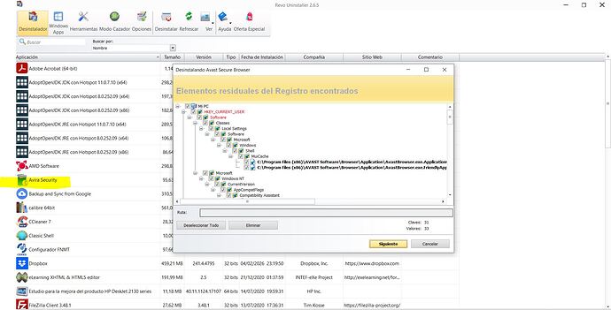 revo_desinstalación