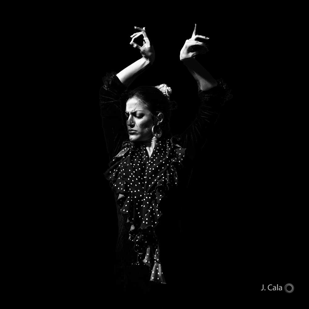 Flamenco_FJC1134_20190301_006W