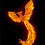 fenix