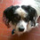 Marcelo_J